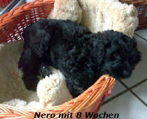 N Ostern 09-1 N Ostern 09-1