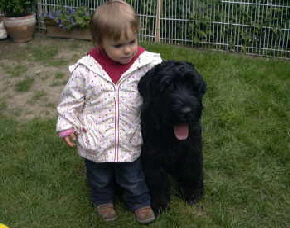 N Sommer 09-2 N Sommer 09-2