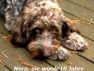 Nora neu 1 Nora neu 1